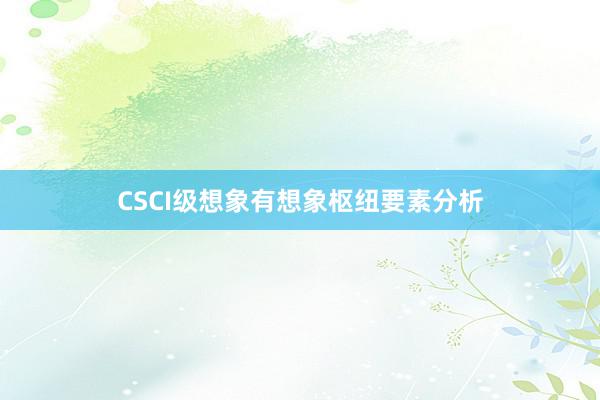 CSCI级想象有想象枢纽要素分析