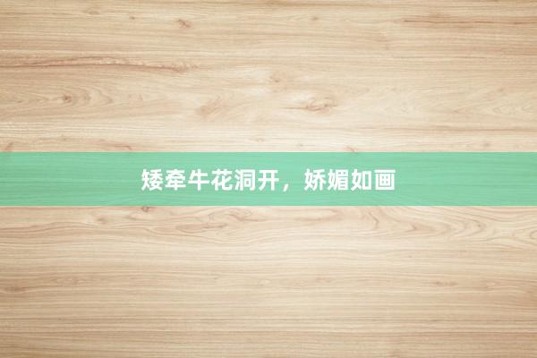 矮牵牛花洞开，娇媚如画